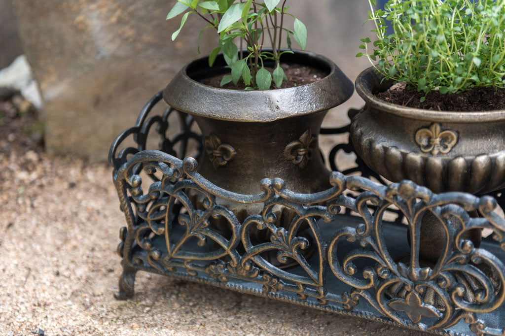Fleur de Lys Herb Pots with Base