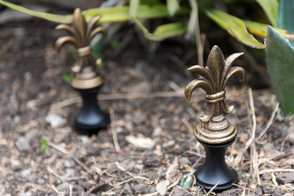 Alloro Hose Guard top view in garden