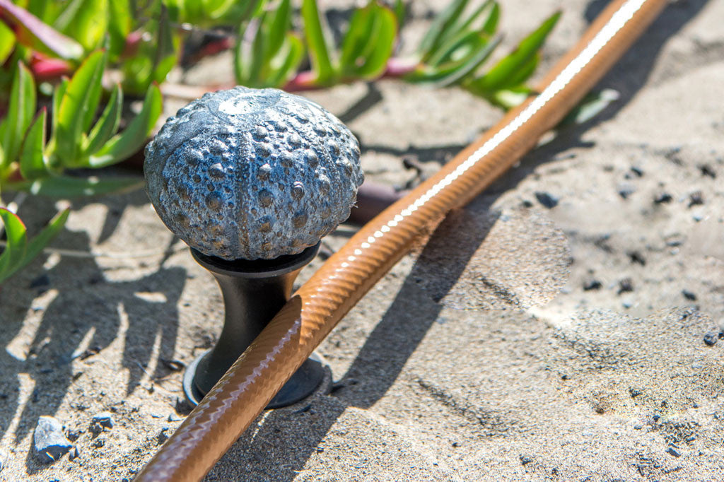 Sea Urchin Hose Guard set in sand protecting ice plant from hose