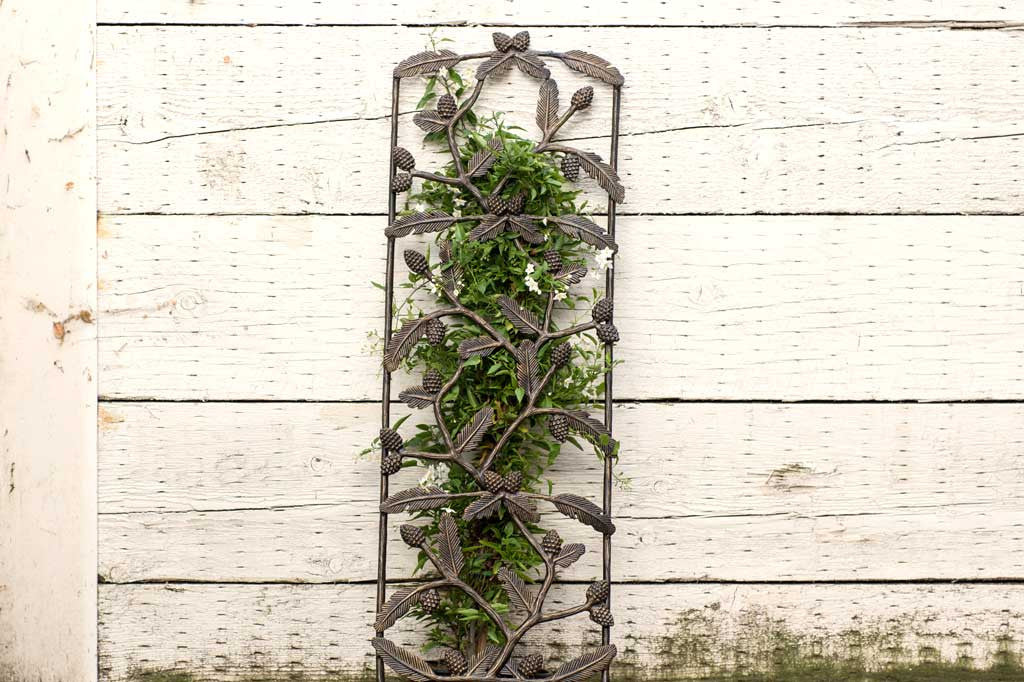 scattered pine branches on a garden trellis in front of a white cabin