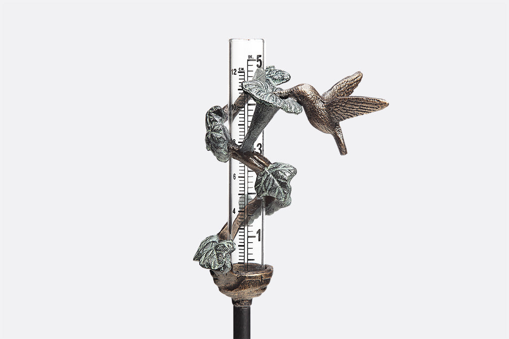 Small rain catcher with sculpted holder of hummingbird and trumpet flower