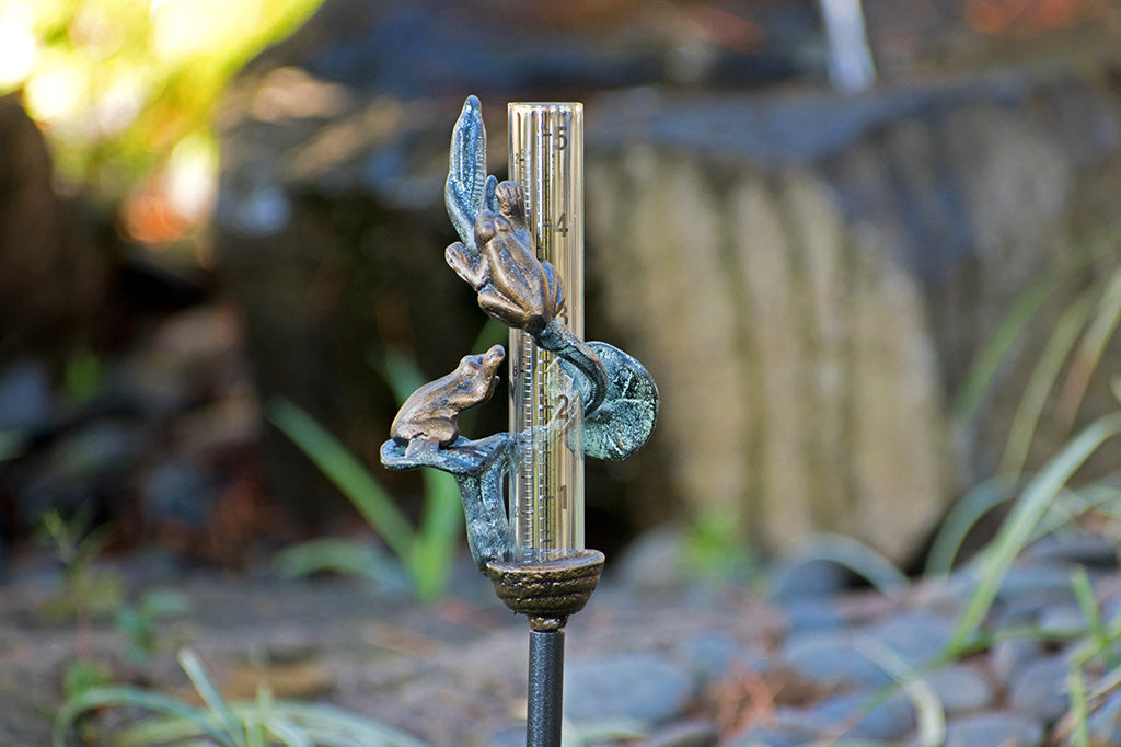 cast metal decorative rain catcher, sculptured toads on lily pads wrapped around glass beaker. Set in garden scene
