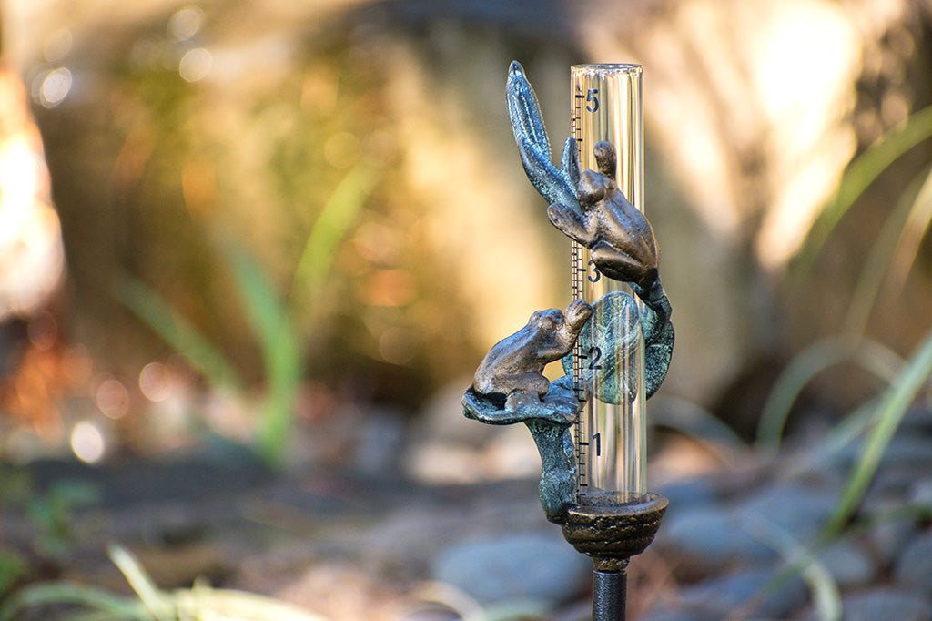 cast metal decorative rain catcher, sculptured toads on lily pads wrapped around glass beaker.