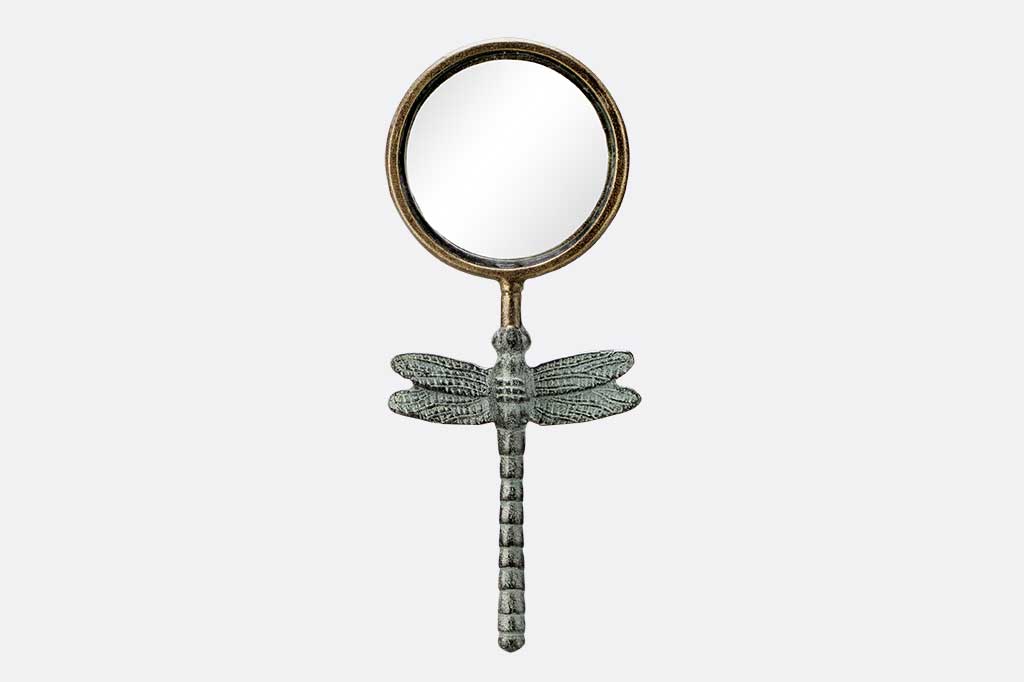 Dragonfly Magnifying Glass