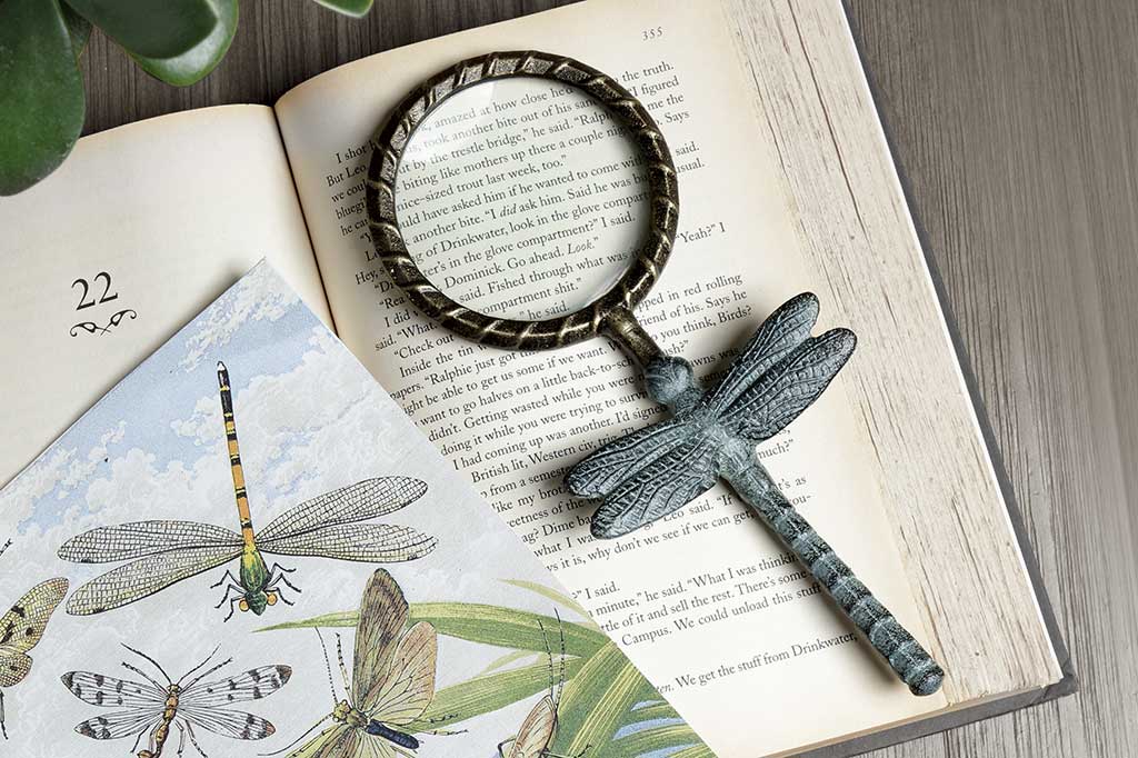 cast metal frame for hand held maginifying glass with decorative dragonfly handle