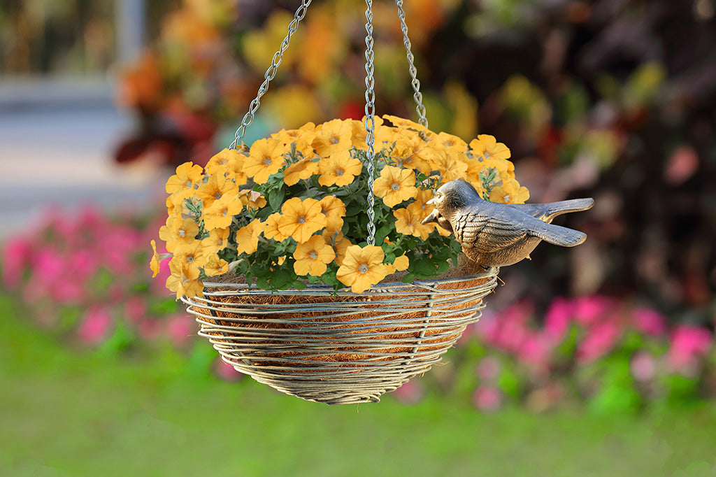 bird nest in hanging planter Hanging Bird's Nest Bird Feeder and Planter