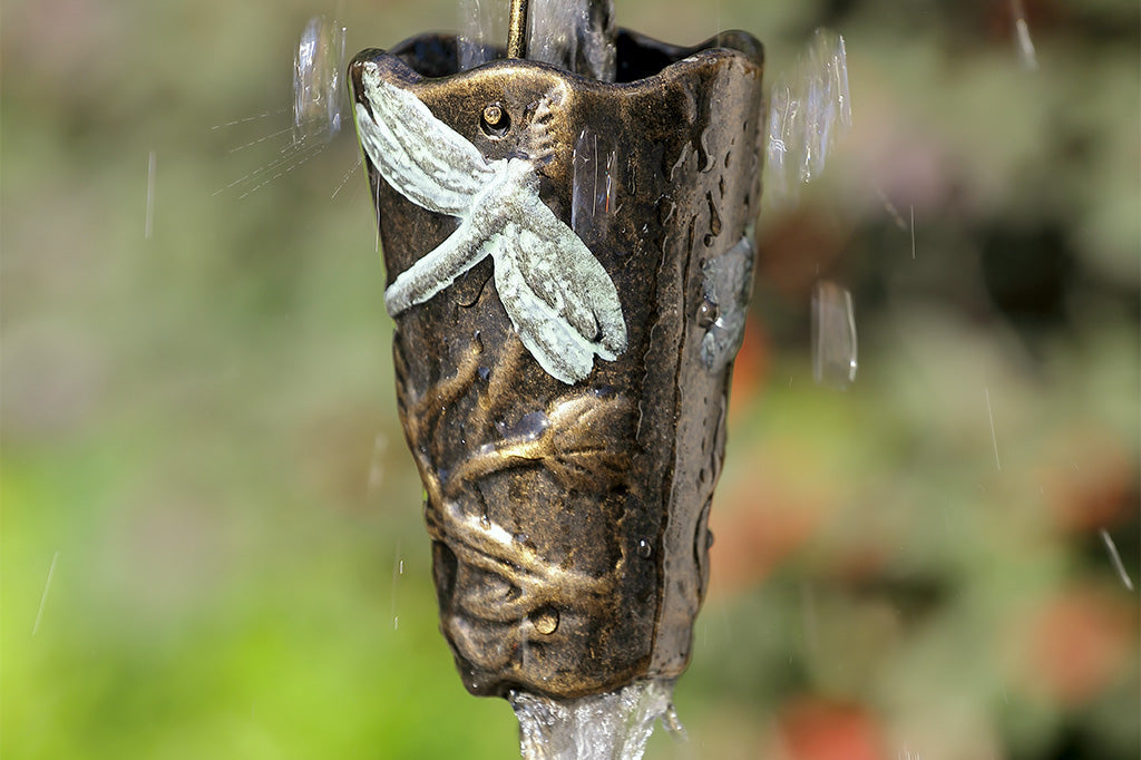 closeup view in garden of water  thatcascades over the rain cup on a dragonfly motif rain chain