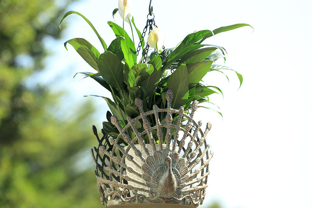 cast metal hanging pot holder with two peacocks in full relief sculpting with outspread feathers