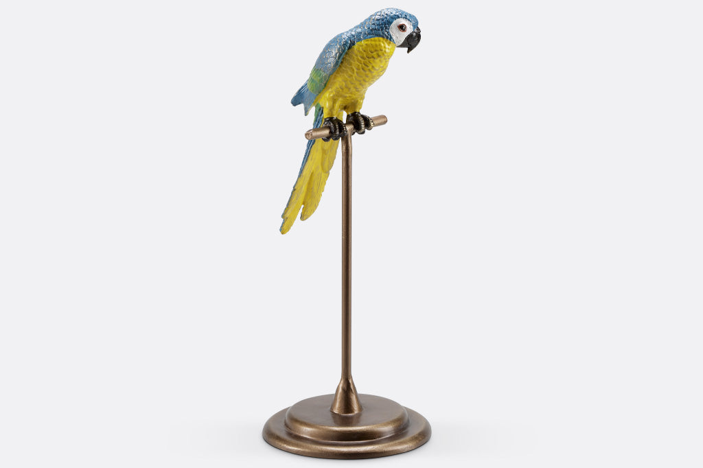 tall stand for blue and yellow parrot sculpture