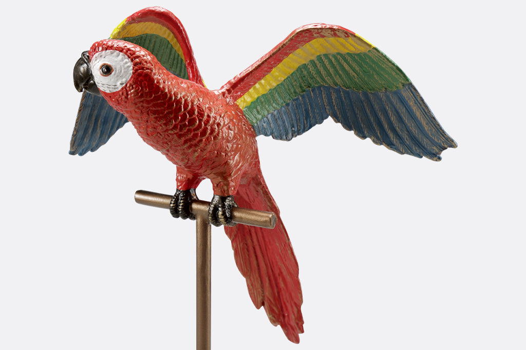 red parrot with rainbow wings, on metal base