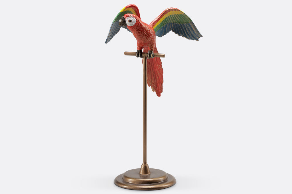 red parrot with rainbow wings, on metal base