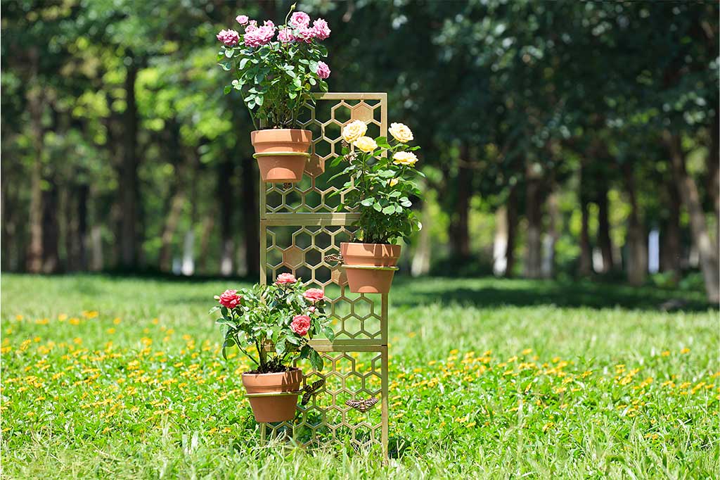 View of All Abuzz Trellis in garden; it holds three 6"DIA pots of roses