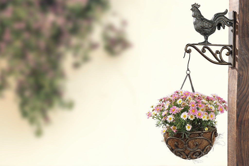 hanging planter basket suspended from rooster shaped wall hanger - holding potted daisies on wood wall