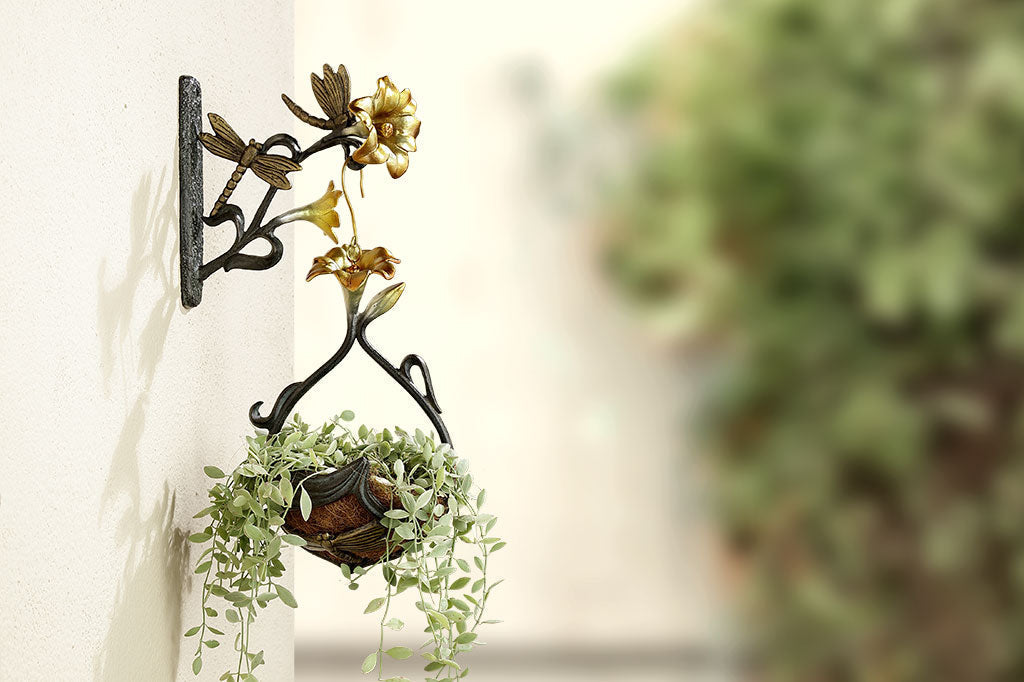 Wall hook and hanging planter shown with plants on an outdoor wall