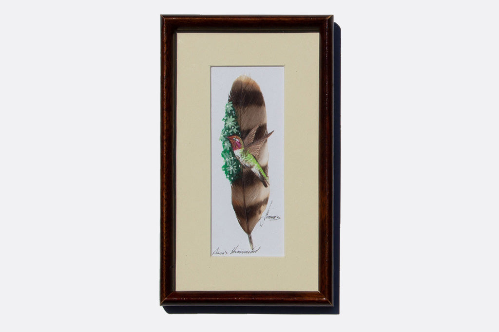 Anna's Hummingbird Feather Art