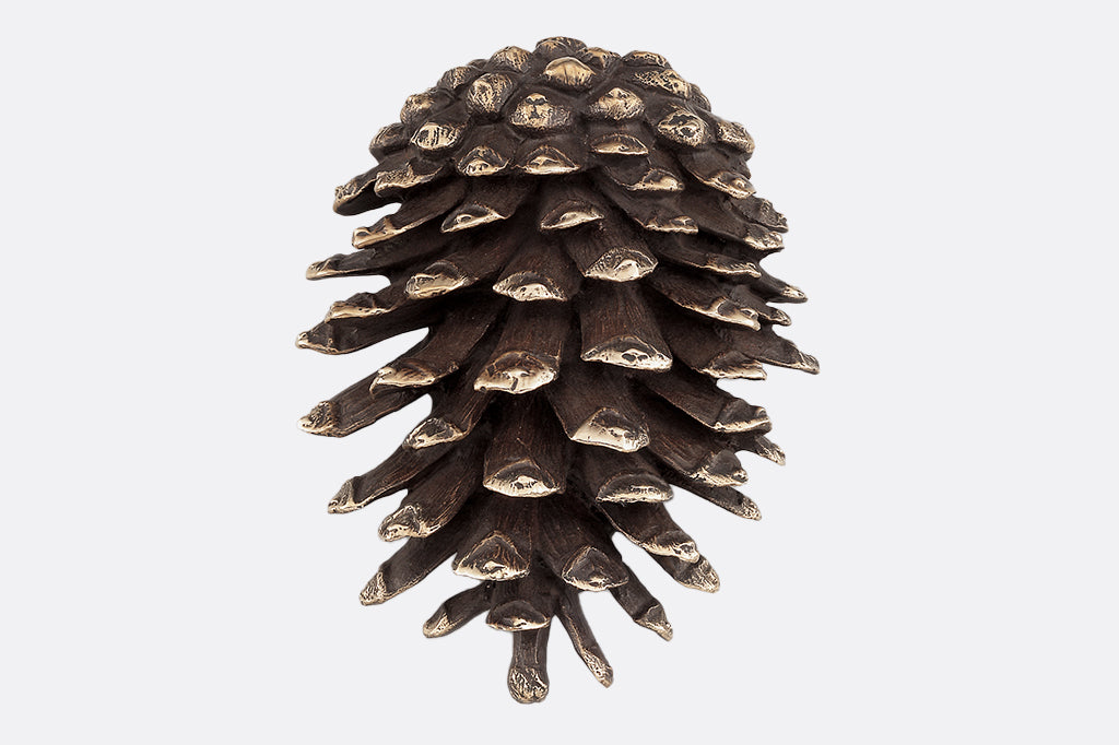 brass pinecone doorknocker placed on exterior 