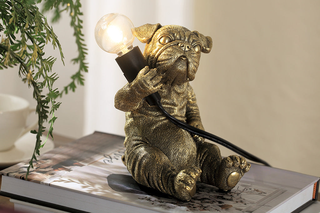 gold finished resin novelty desk lamp of french bulldog holding lightbulb. Shown on desk by house plant