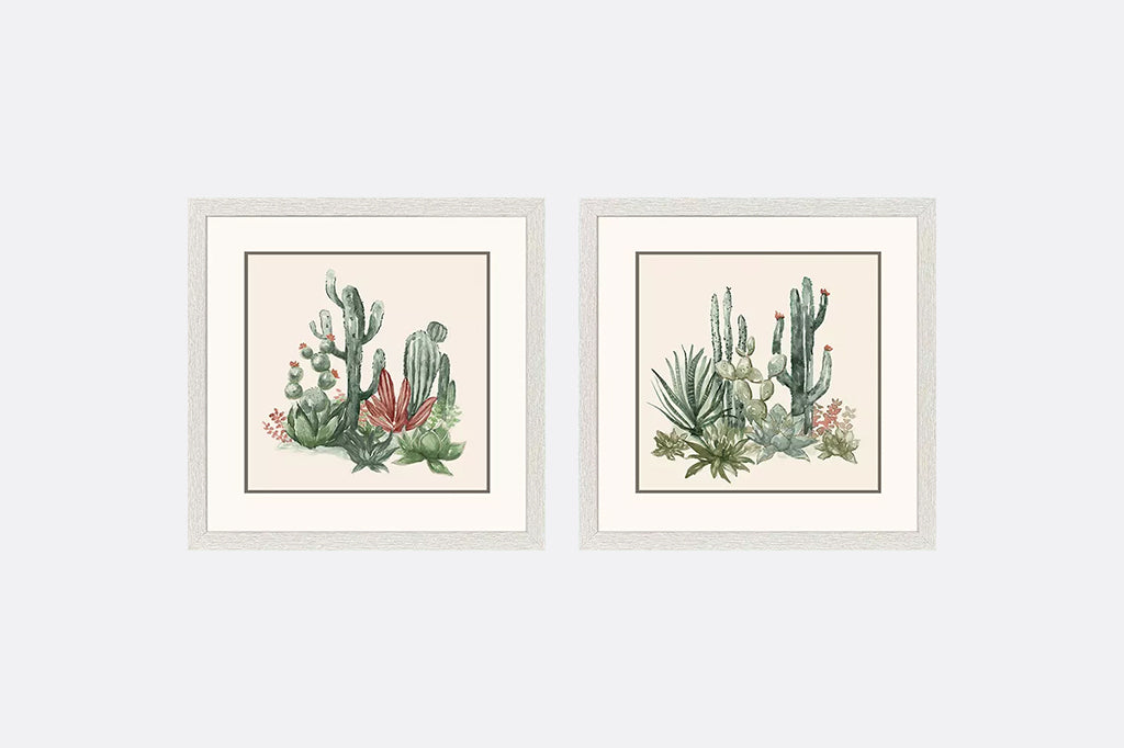 Two framed illustrations of cacti