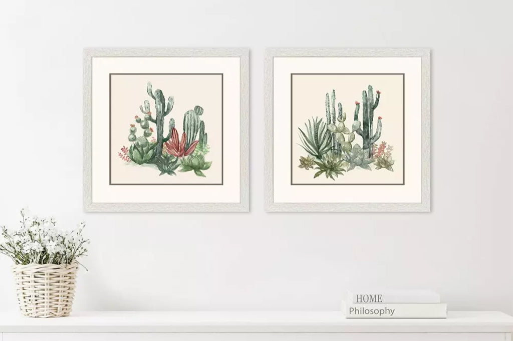 Two framed illustrations of cacti