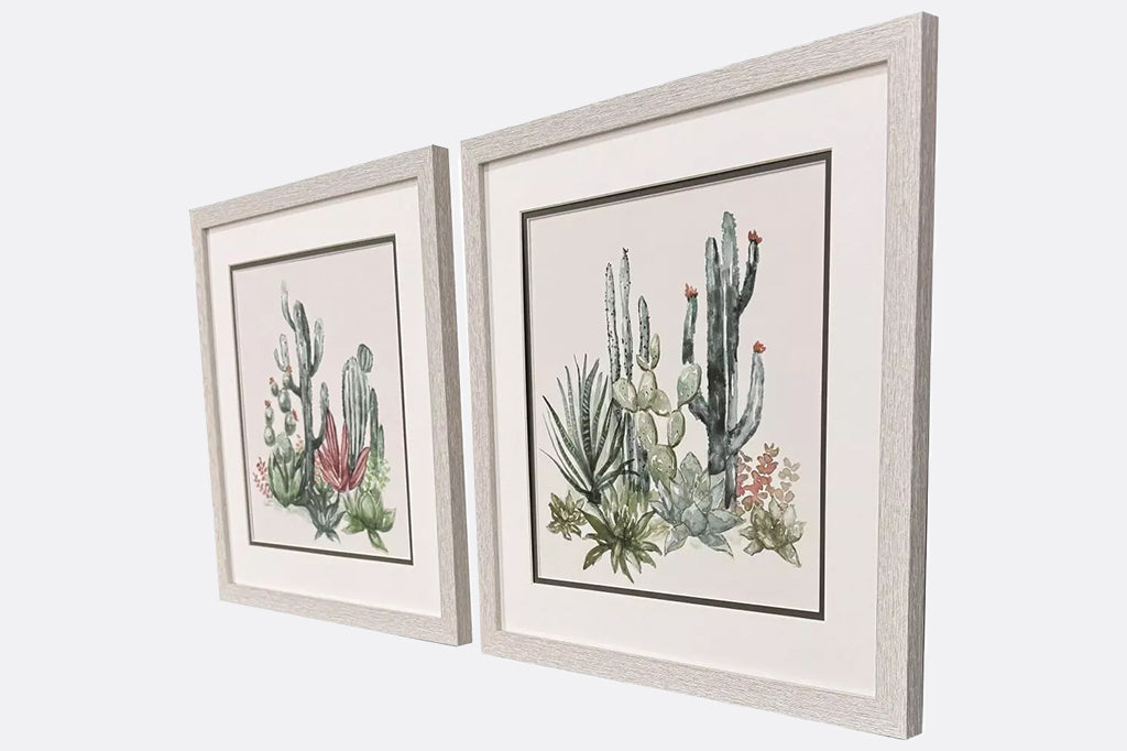 Two framed illustrations of cacti