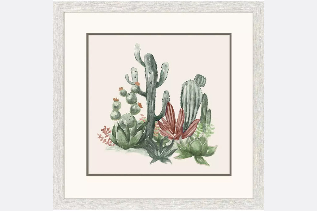 Framed illustrations of cacti
