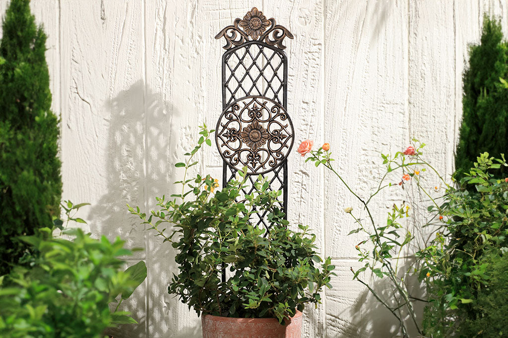 Girasole planter trellis shown in outdoor pot outside house with roses and evergreen shrubs adjacent