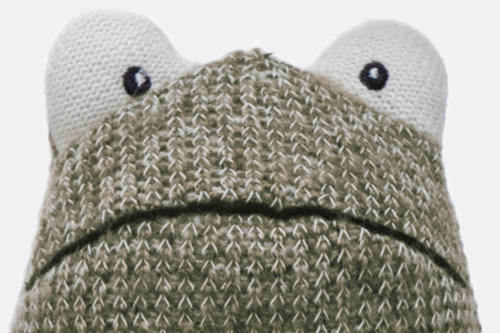 Frog stuffed animal wearing a green sweater and jean shorts.