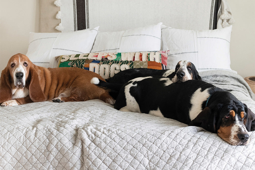 A patchwork pillow inscribed with the phrase "Sleeps with dogs."