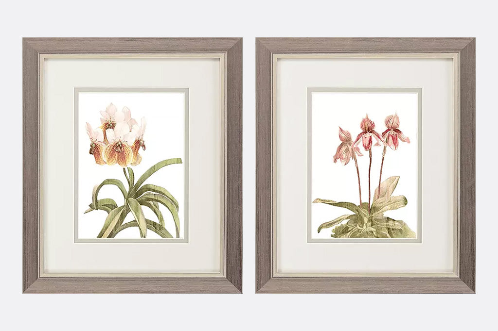 Orchid Diptych Framed Art Set of 2
