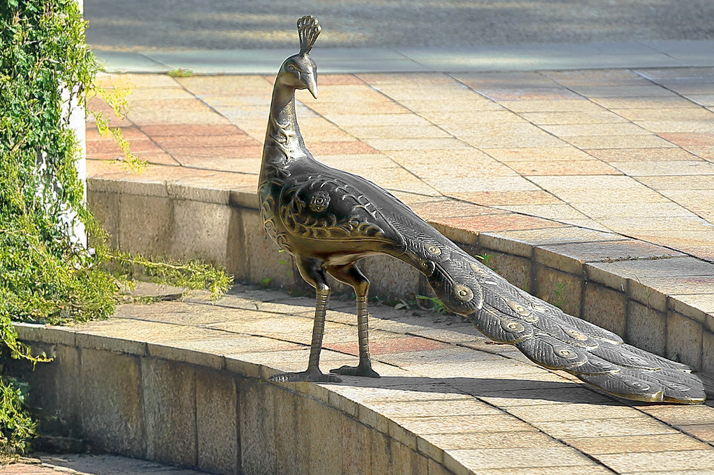 Sculpted cast metal peacock sculpture on sidewalk and paved stairs