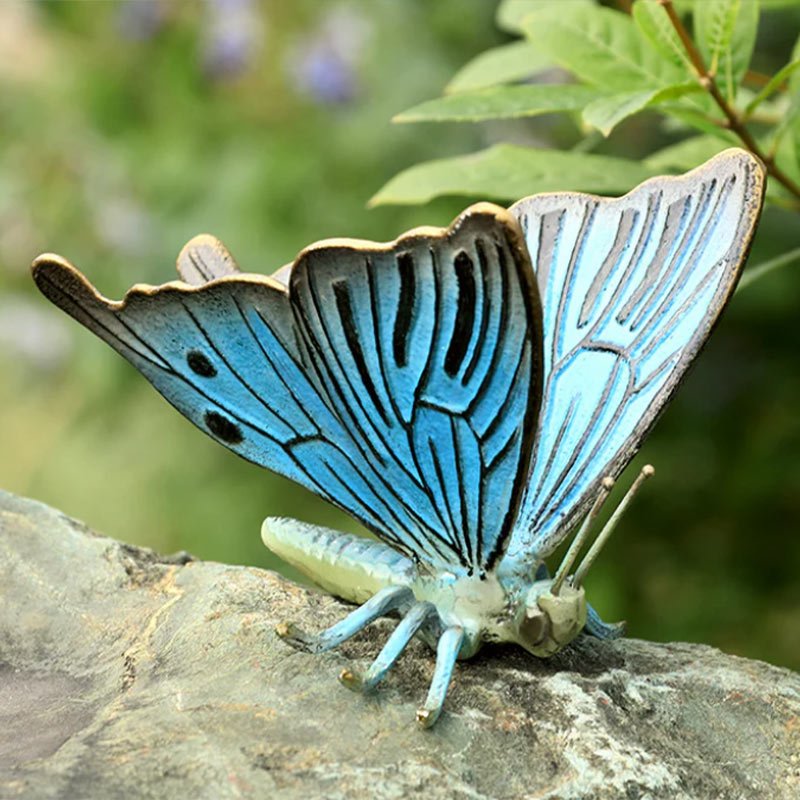 Blue butterfly on a rock with a blurred green background