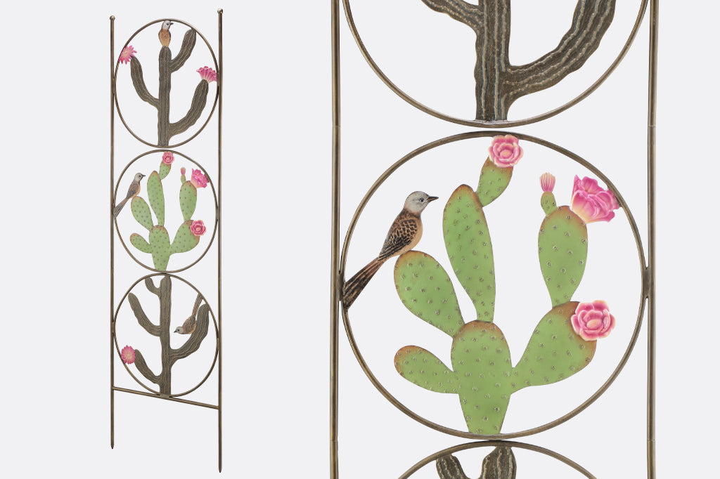 close up of cactus detailing and texture as well as perched bird on cactus 