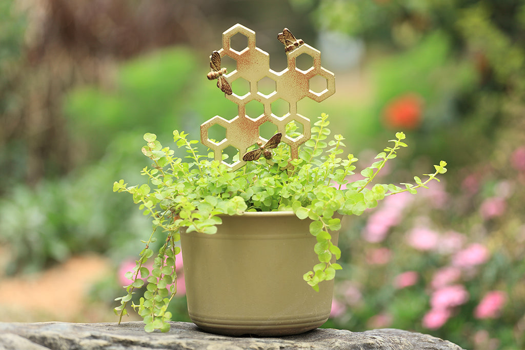 cast metal honeycomb planter trellis with bees staged in planter outdoors 