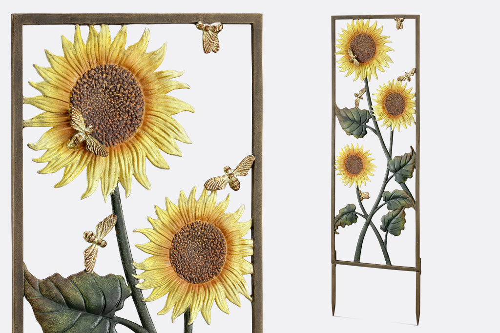 close up view of golden sunflower surrounded by buzzing bees as well as a side angle view of trellis