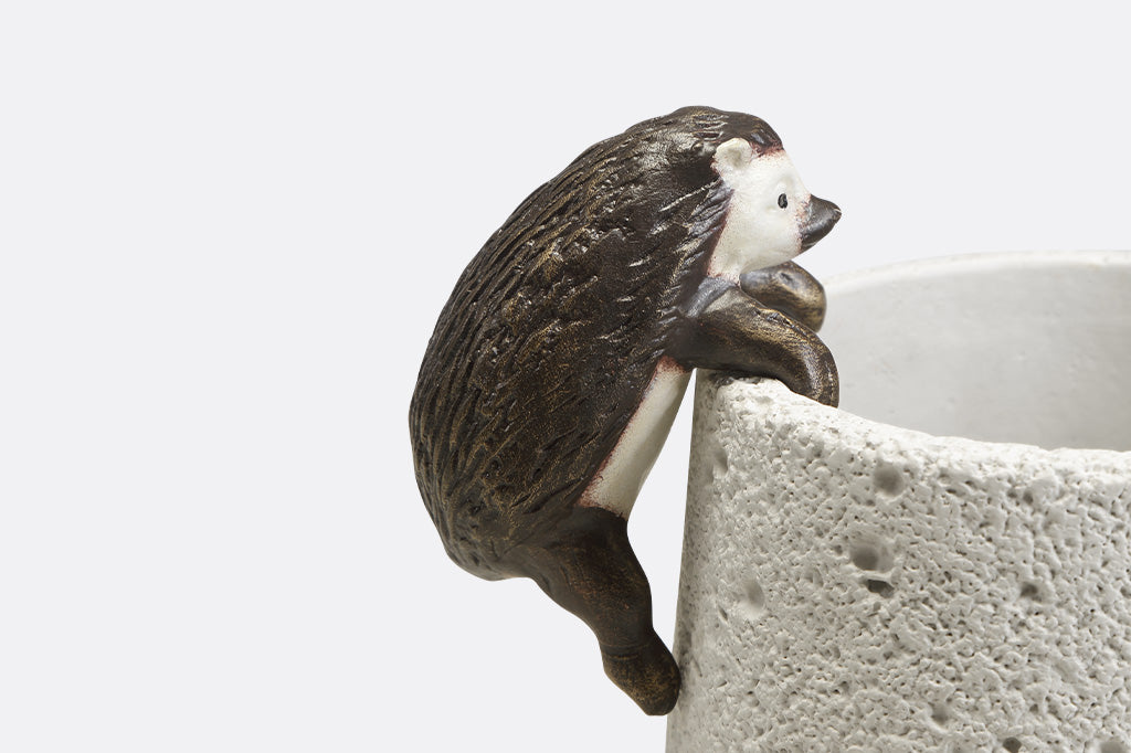 Pot hanging sculptures of two hedgehogs climbing.