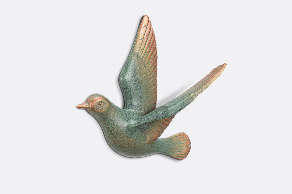 One bird on white background
