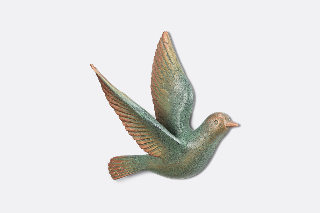 One bird on white background