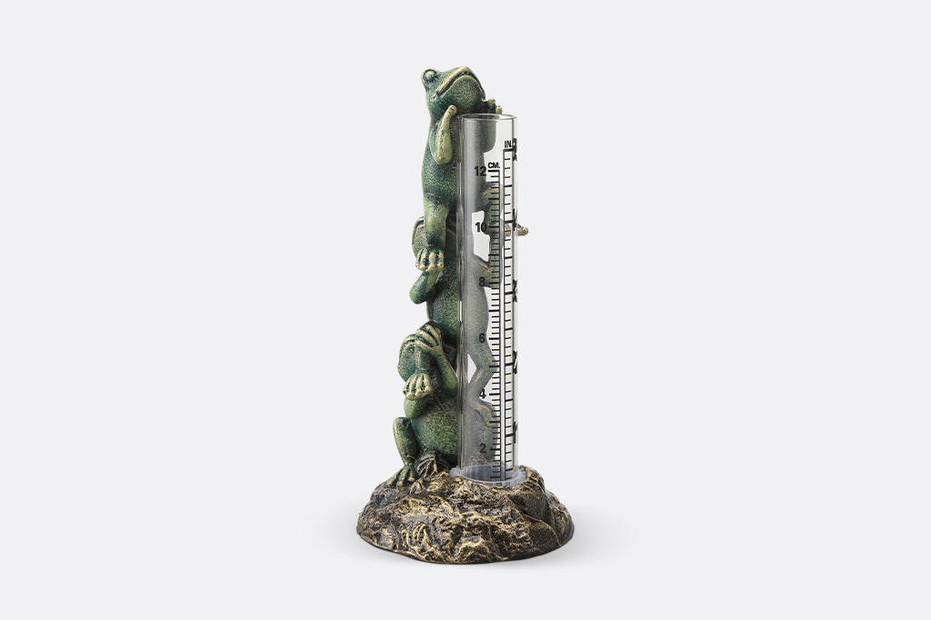 Frog-themed thermometer on a white background