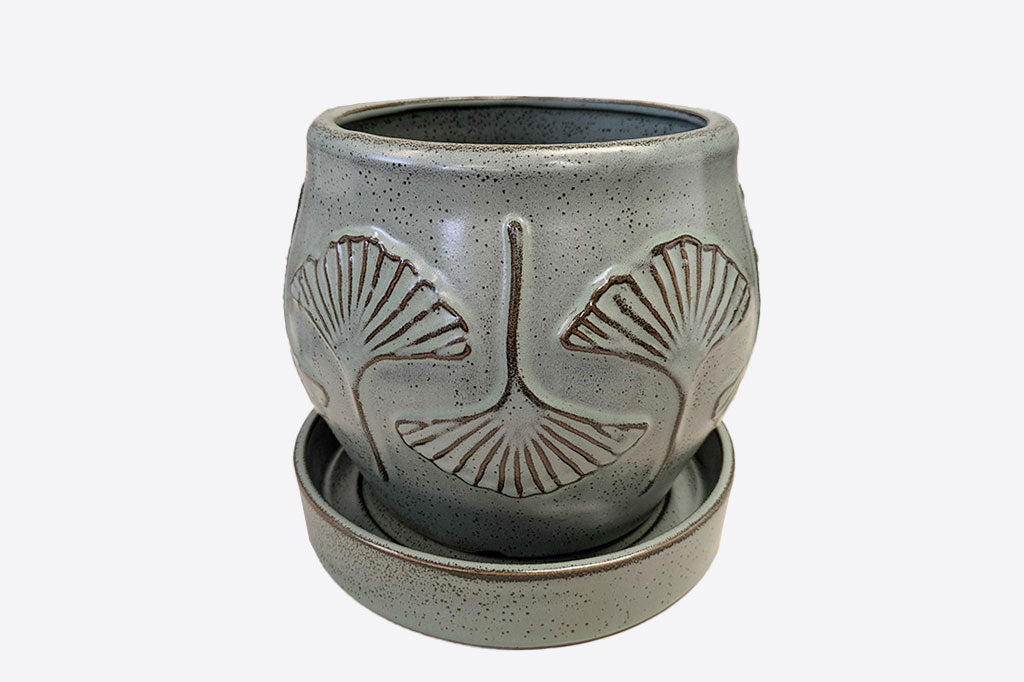 Ceramic planter with ginkgo leaf design on a white background