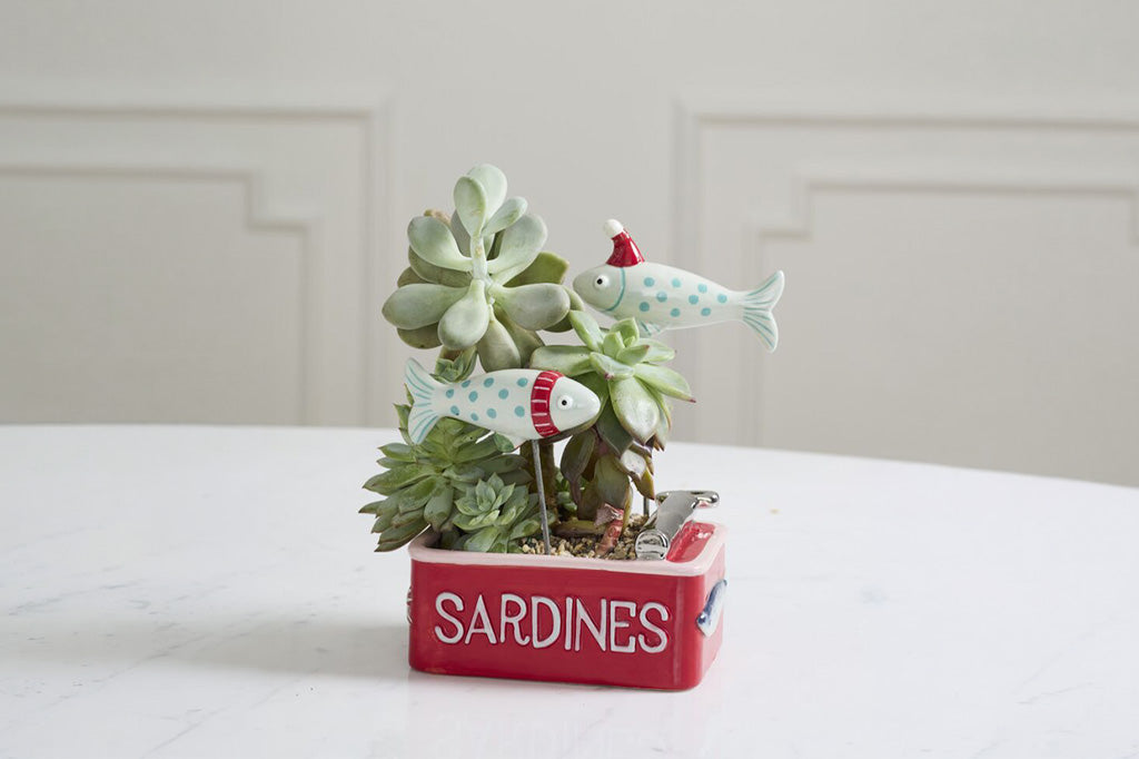 A small potted succulent arrangement in a red rectangular planter labeled “SARDINES,” with two decorative fish figurines on top, placed on a white tabletop against a light wall.