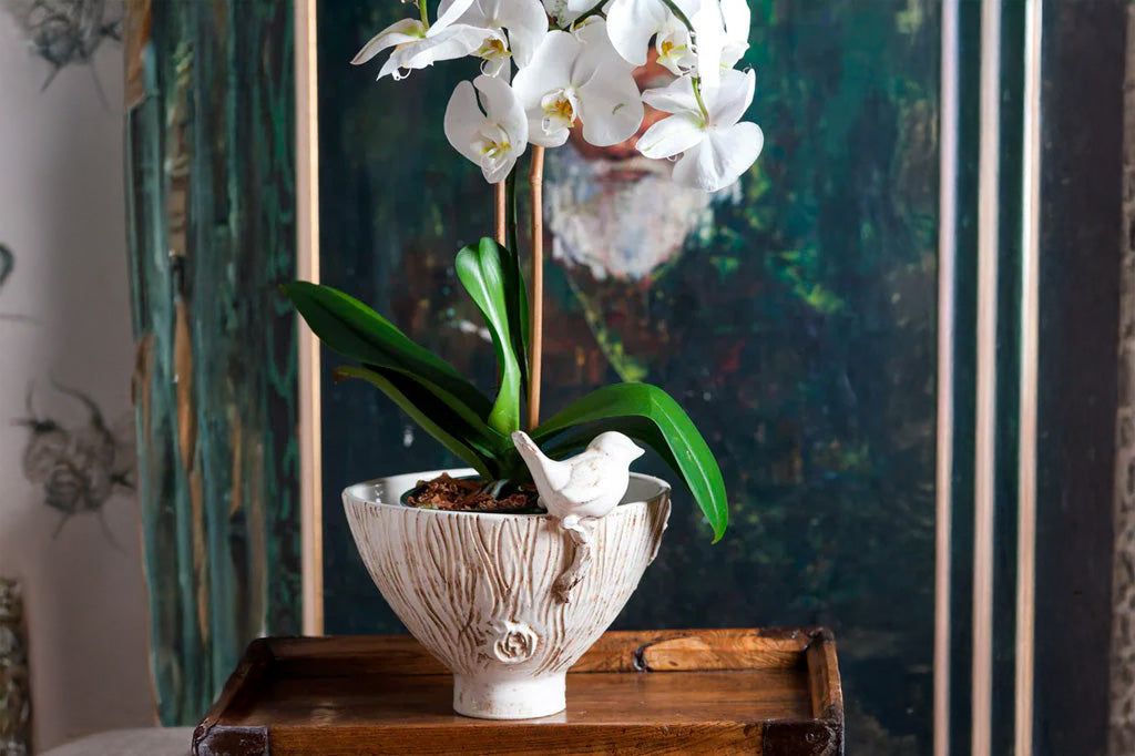 White orchid in a decorative italian ceramic pot with bird and tree motif in a room with art in background