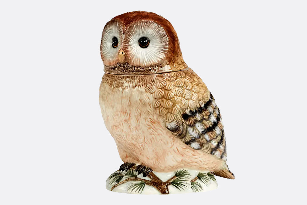 Owl cookie-jar on a white background