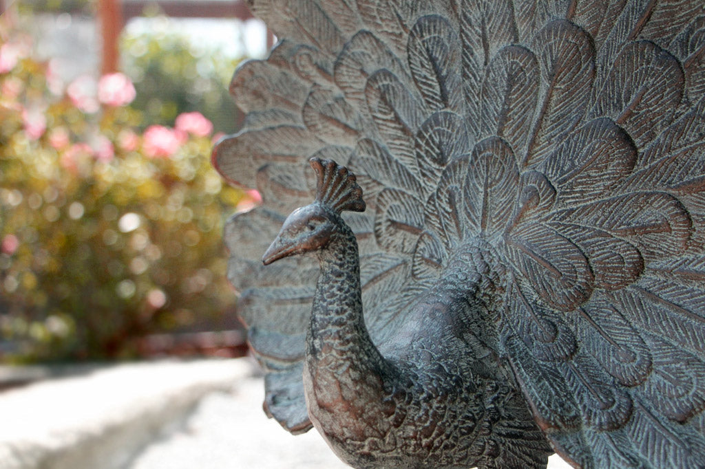 Close up view of Pretty as a Peacock statue