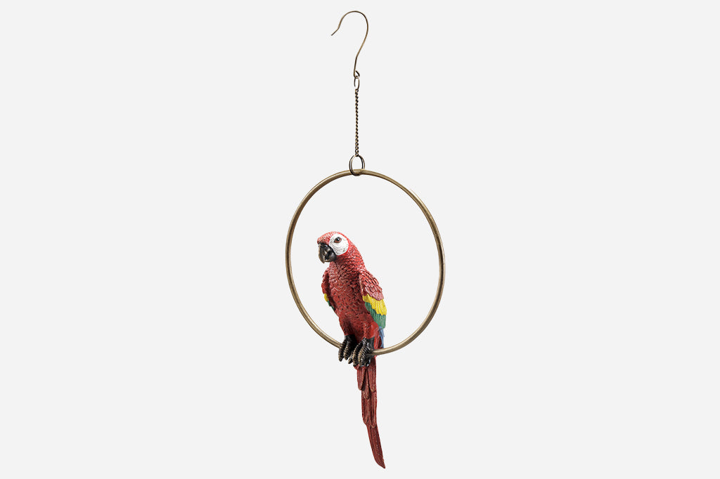 Rusty the Red Parrot on Hoop Hanging Sculpture