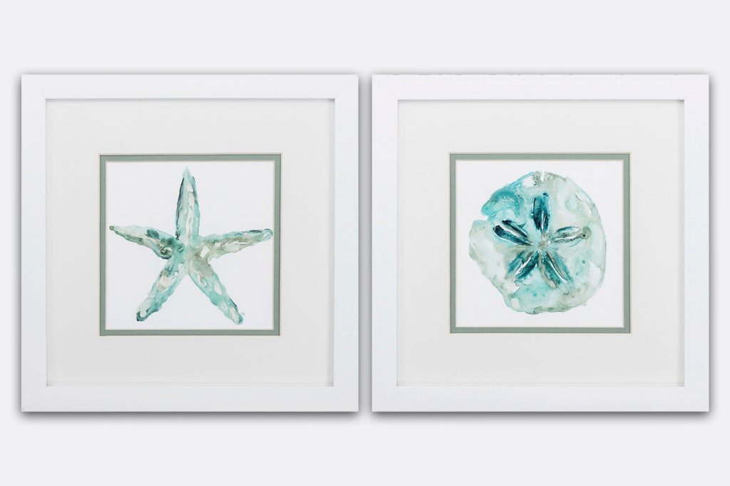 Sea Star and Sand Dollar Framed Art Prints Set of 2