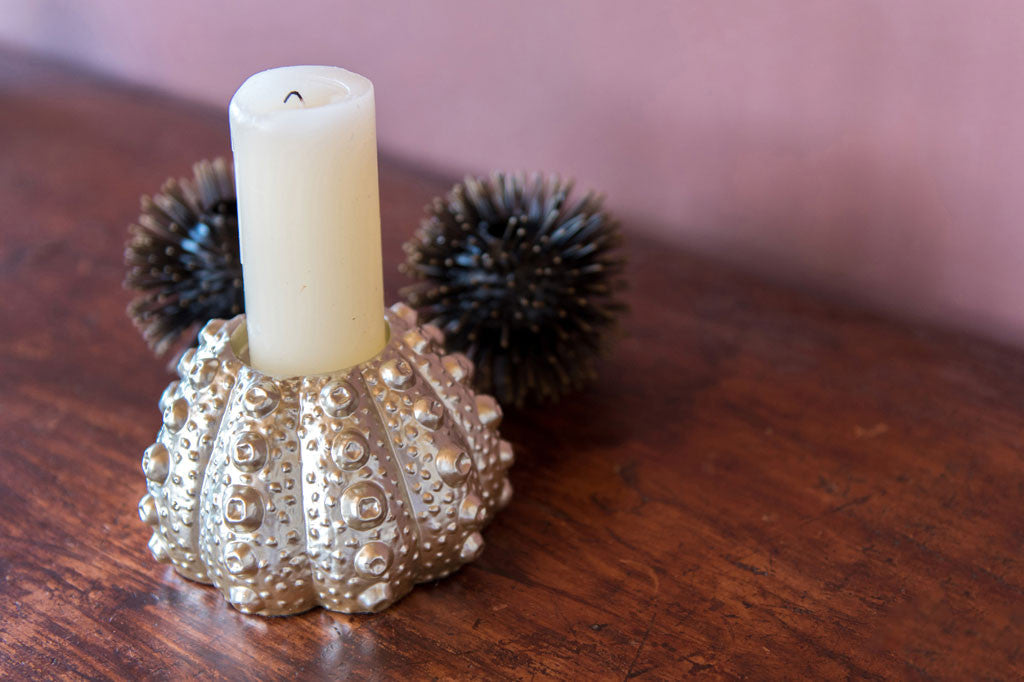 Silver Sea Urchin Candleholder